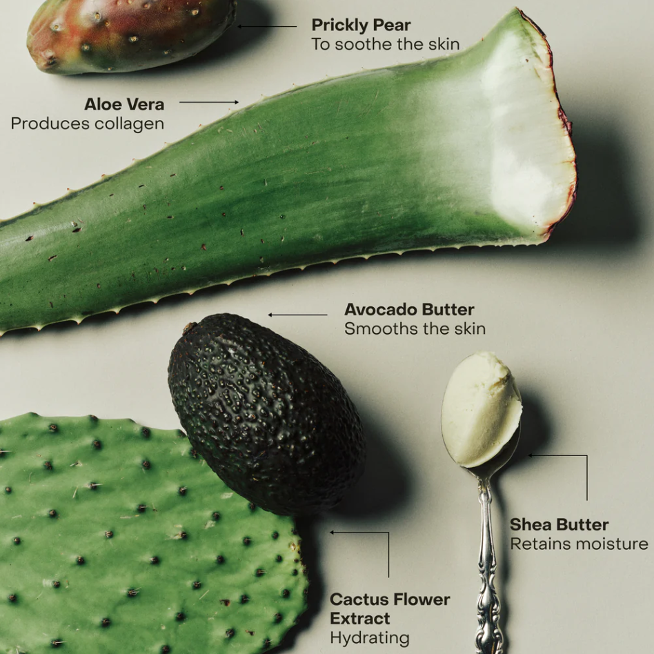 SIDIA WIRED: The Body Serum